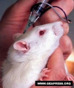 OBIEZIONE ALLA SPERIMENTAZIONE ANIMALE