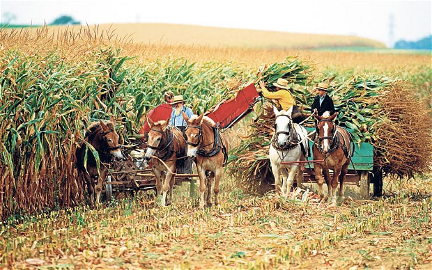 VACANZE AMERICANE: IN MEZZO AGLI AMISH