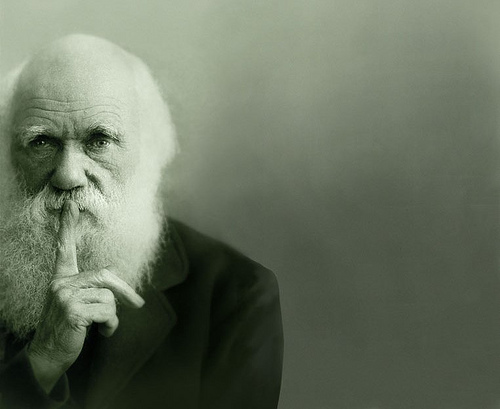 SECONDO LE LEGGI DI DARWIN, COME E’ GIUSTO