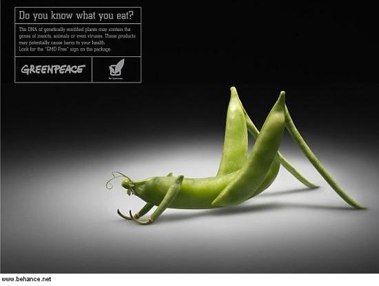 LO SCANDALO DEGLI OGM: GLI EFFETTI A LUNGO TERMINE SULL’UOMO DEL CIBO GENETICAMENTE MODIFICATO