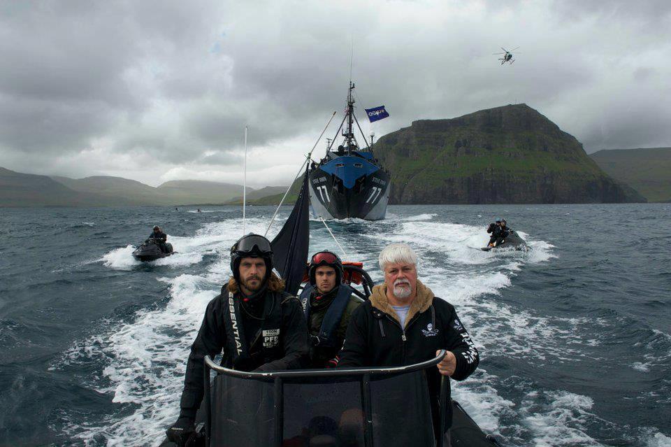 QUELLI DELLA SEA SHEPHERD: DIFENDERE L’INTEGRIT DELLA RISERVA MARINA DELLE BALENE NELL’OCEANO DEL SUD