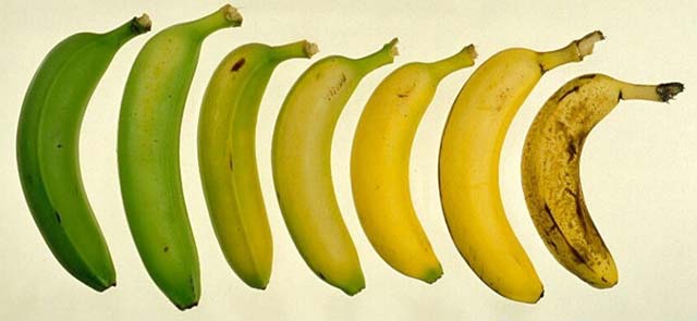RESPINGIAMO LA “MONOCOLTURA DELLA MENTE”