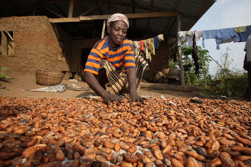 LE DONNE DEL CACAO