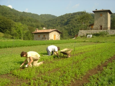 RITORNO ALL’AGRICOLTURA. E AGLI DEI