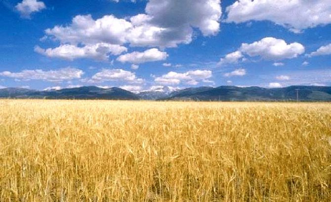 BIO-REGIONALISMO: UNICA STRADA POSSIBILE PER RITROVARE LA CITTADINANZA