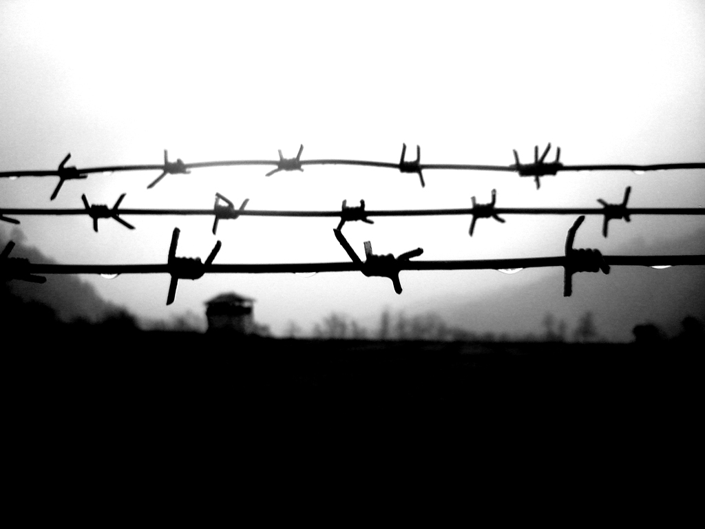 LO STATO SEDUTTORE HA FRETTA
