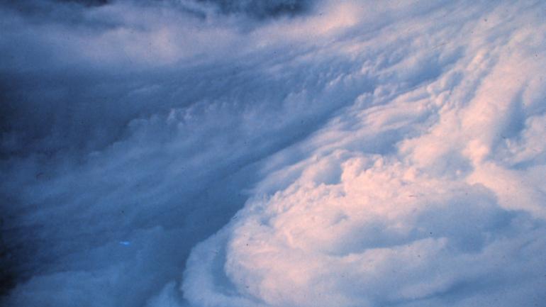 PIU' O MENO SIAMO FOTTUTI ! COME LA SCIENZA CI DICE DI RIBELLARCI