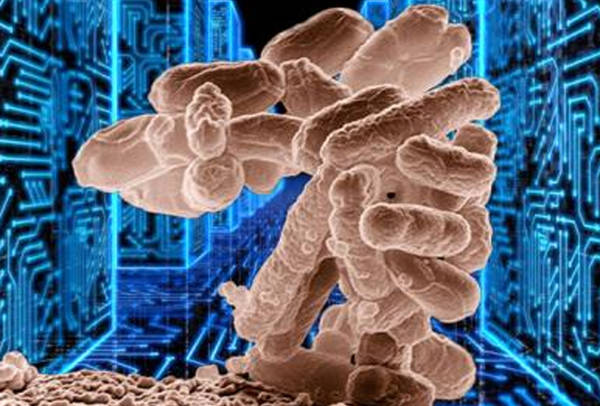 NON POSSIAMO FARE NULLA PER I SUPER-BATTERI RESISTENTI AGLI ANTIBIOTICI CHE PRESTO UCCIDERANNO MILIONI DI PERSONE