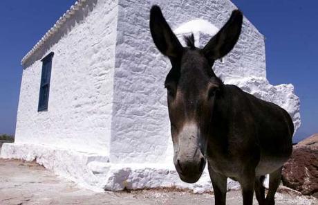 ANDATE IN GRECIA. FIDATEVI. NON C'E' NIENTE DI MEGLIO DELLA GRECIA, IN TEMPO DI CRISI