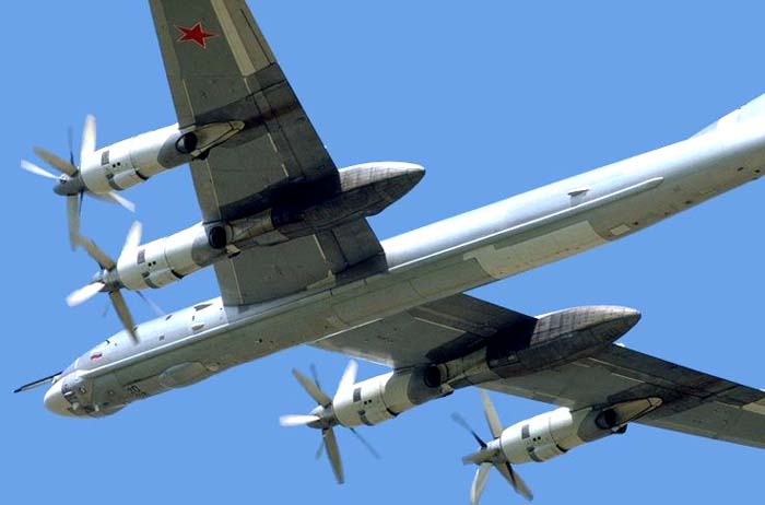 I BOMBARDIERI RUSSI E I CUCCIOLI DI FOCA SCHIACCIATI UNO A UNO