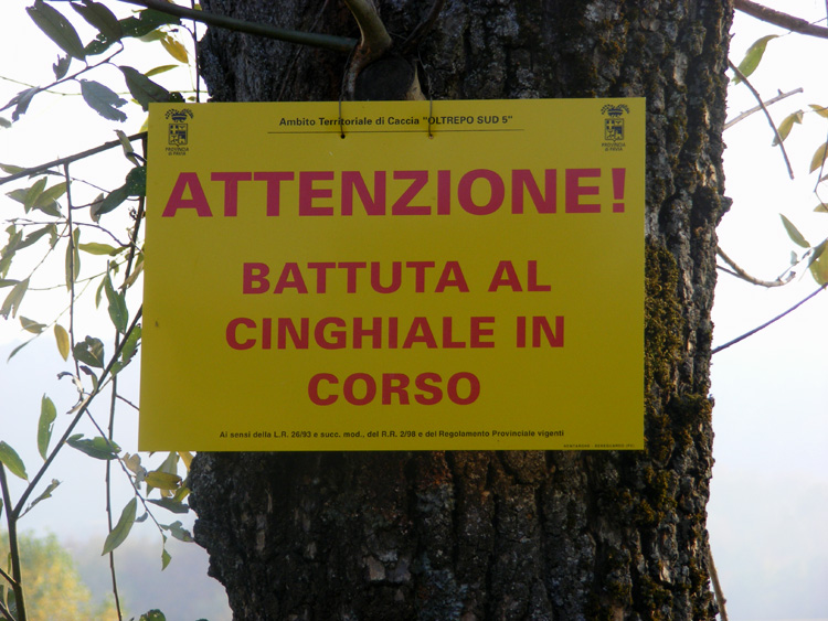 QUELLI CHE ...SONO CONTRO LA CACCIA...