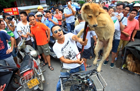 LA SAGRA DEL CANE