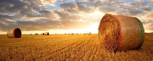 I GIGANTI AGRICOLI OCCIDENTALI SI ACCAPARRANO L'UCRAINA