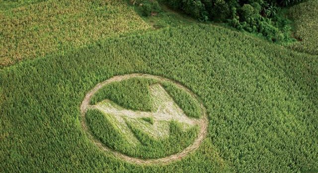 UN FATTO SCIOCCANTE: ALCUNE E-MAILS DIMOSTRANO CHE LA MONSANTO (MA NON SOLO) PAGA GLI SCIENZIATI