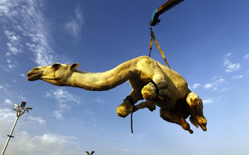 ARABIA SAUDITA: L’INEVITABILE COLLASSO