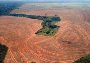 SCHIAVITU' E DEFORESTAZIONE IN AMAZZONIA