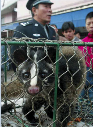 LA PREDILEZIONE DELLA CINA MERIDIONALE PER LE SPECIE PROTETTE