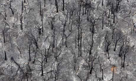 INCENDI E RISCALDAMENTO GLOBALE: C' UN LEGAME?
