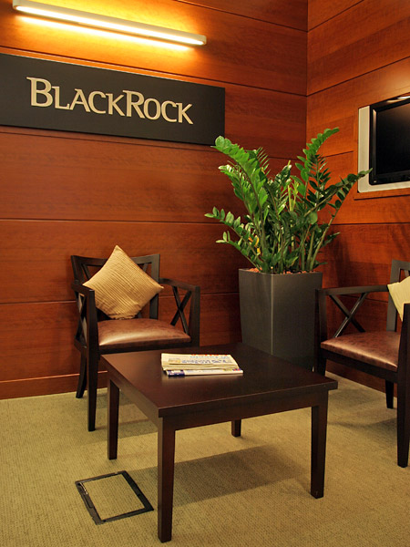 IL CASO BLACKROCK: CE’ PURE CHI TIFA CONTRO LA RIPRESA