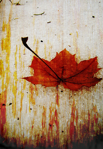 UN ESPLOSIVO TRANQUILLO AUTUNNO