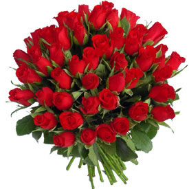 COME LE ROSE