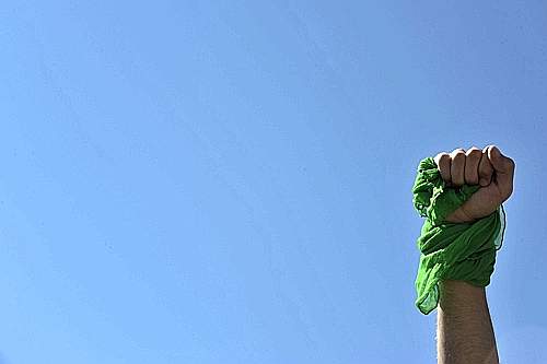 GREEN REVOLUTION FOR DUMMIES