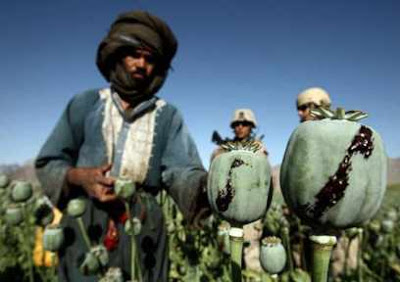 GLI AMERICANI SONO PROFONDAMENTE COINVOLTI NEL COMMERCIO DI DROGA AFGHANO