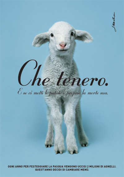 AGNELLINO, PANE E VINO