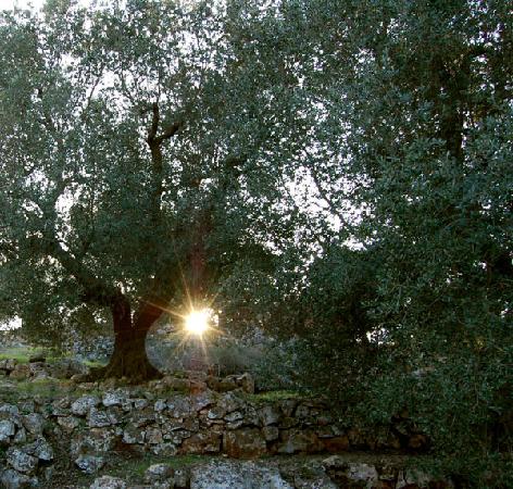 NOI IN GRECIA FACEVAMO COSI'