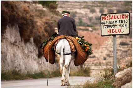 DECRESCITA E WELFARE STATE