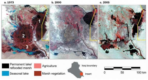 IL DISASTRO ECOLOGICO PERPETRATO DA USA-IRAN IN IRAQ