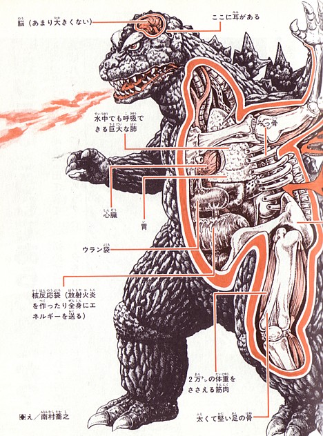 GODZILLA E' SUL PUNTO DI VENIRE ALLA LUCE