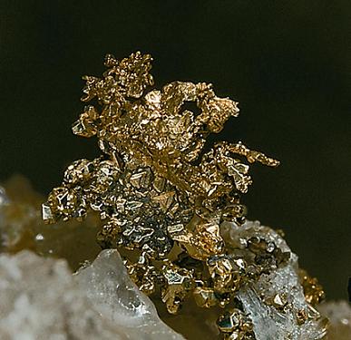 LO STRAVAGANTE MONDO DELL’ORO