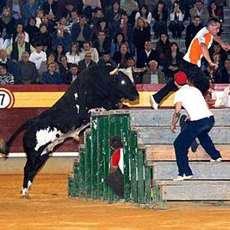 IL GLADIATORO