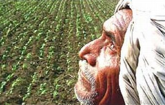 GLI AGRICOLTORI PAGANO IL PREZZO DELLA CRESCITA INDIANA