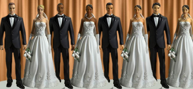 IL MATRIMONIO BIANCO ?