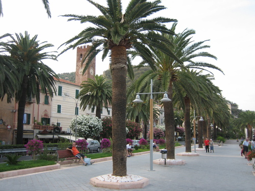 L’ ALTRO GIORNO PASSEGGIANDO SUL LUNGOMARE DI FINALE LIGURE...