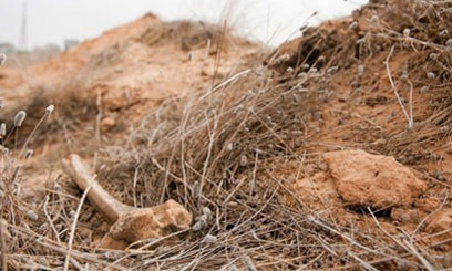 TRIPOLI, ABU SLIM, 25 SETTEMBRE: UN BUCO CON ALCUNE OSSA ANIMALI DIVENTA FOSSA COMUNE
