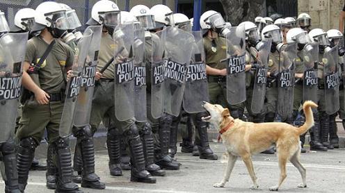 KANELLOS IL CANE RIBELLE” STA ARRIVANDO IN AMERICA