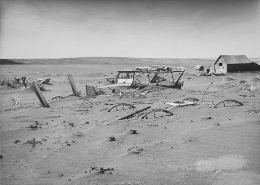 ORA DI FERMARE LA GUERRA CONTRO LA TERRA