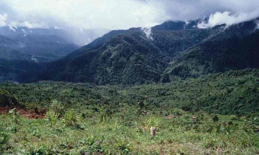 Punto sul Campo. (Una strana storia tra le foreste della Papua dell’Ovest)