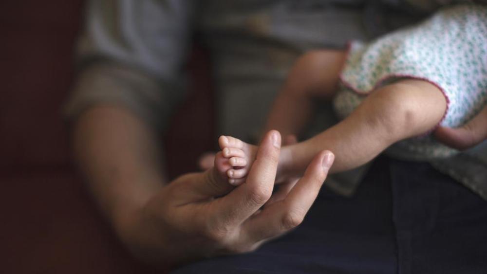 Ma la madre per conto terzi viola il diritto della Natura