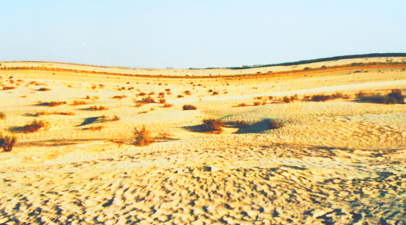 Overshoot della Terra: Superata la disponibilità di risorse naturali, fino a che punto sarà sostenibile la crescita della Popolazione?