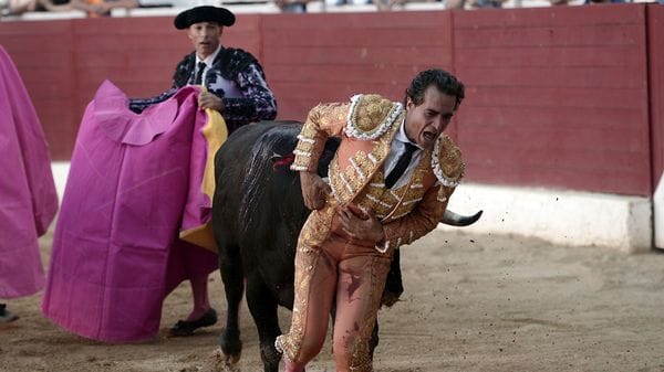 "La corrida ? Un rito senza senso"