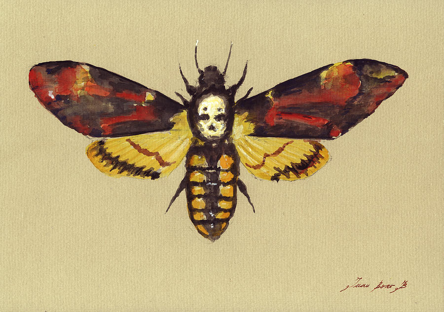 Insectageddon