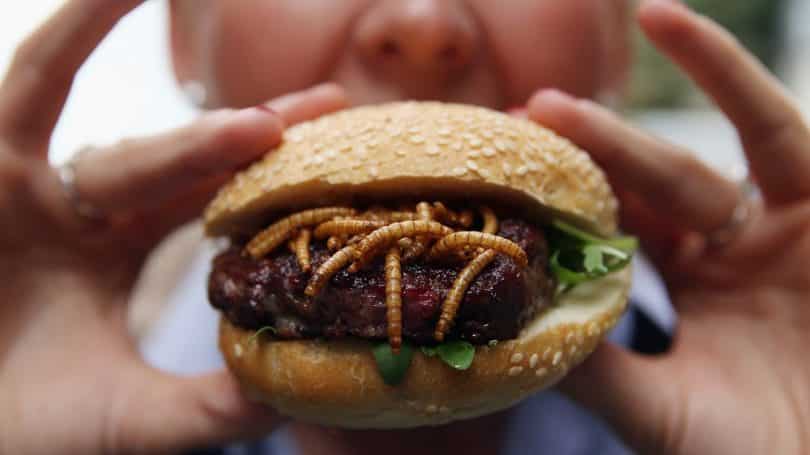 Insetti e ogm: il cibo del futuro secondo i padroni del mondo