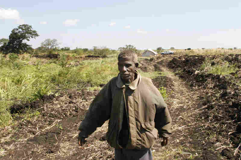 Mozambico: land grabbing per la carta