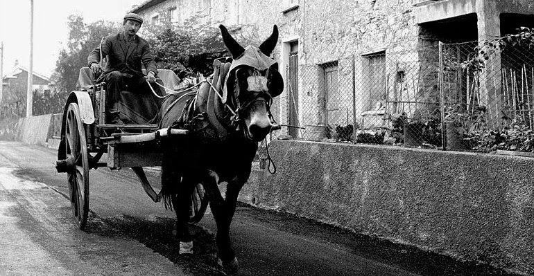 Dipendenti, vi aspetta una cura da cavallo