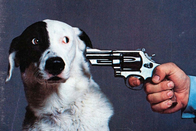 Abbiamo il diritto di uccidere gli animali?