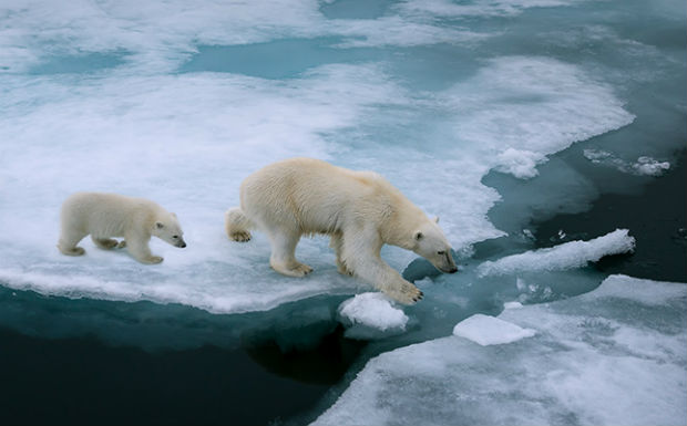 Cosa c'è veramente dietro la balla del riscaldamento globale